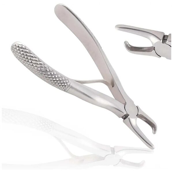 A+ Quality Small Tartar Remover Forceps for Canine Dental Veterinary Care