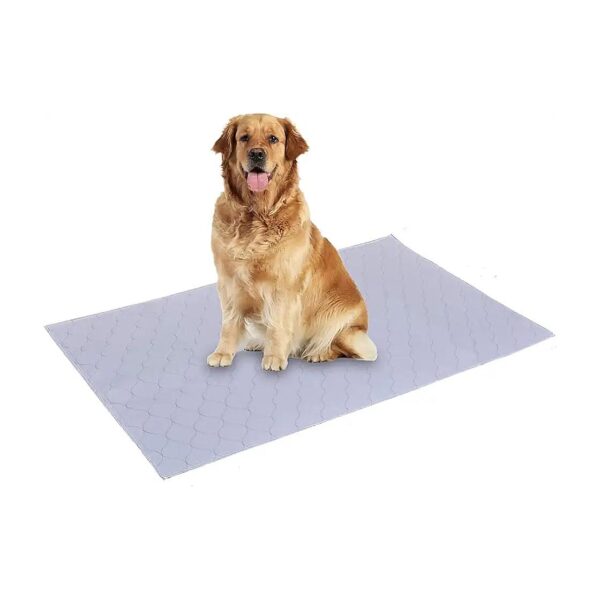 Absorbent Dog Potty Training Pad for Small Dogs with Quick Drying Technology