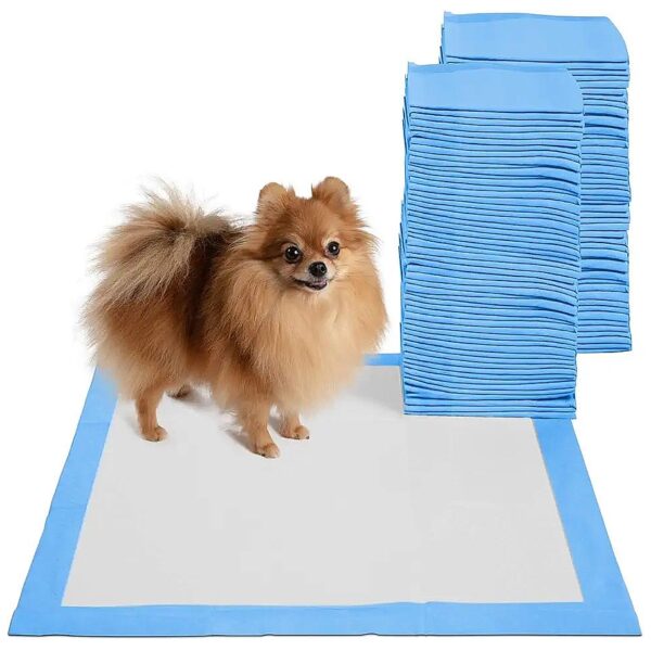 Absorbent Potty Training Pads for Large Dogs and Puppies