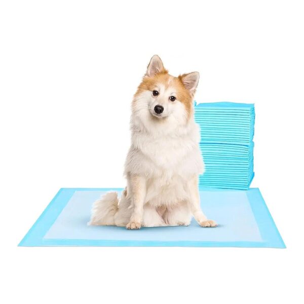 Absorbent and Waterproof 17"X6" Training Pads for Large and Small Dogs