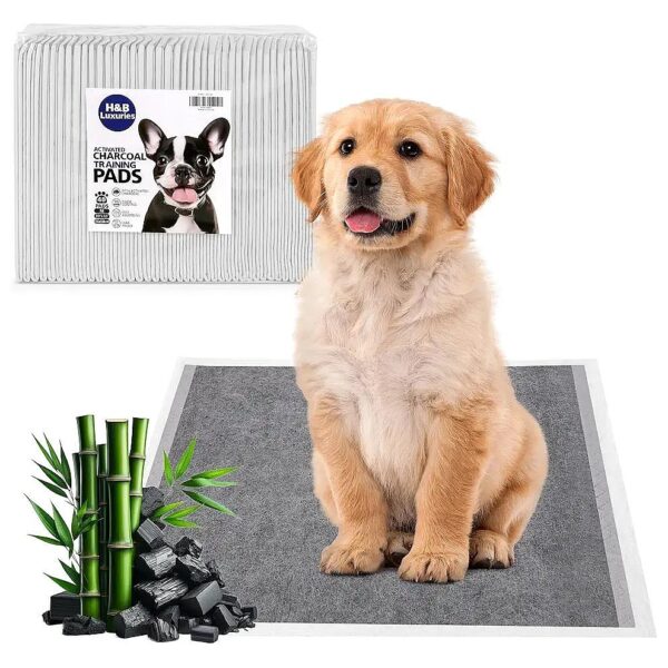 Activated Charcoal Training Pads for Dogs with Superior Absorbency and Odor Elimination