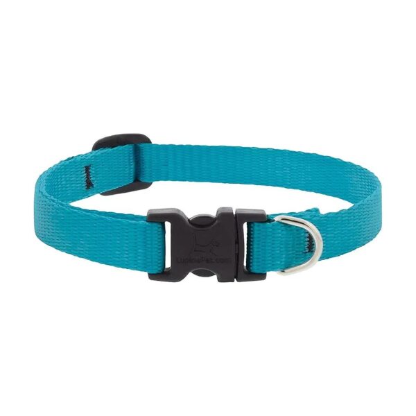 Adjustable Aqua Dog Collar 6-9-Inch Long for Small Dog Neck