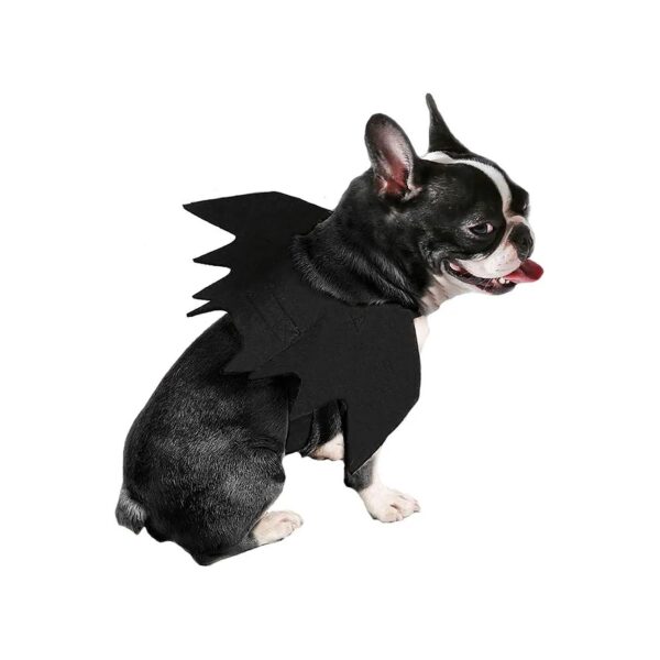 Adjustable Bat Wing Pet Costume for Cats and Small Dogs Halloween Wear High-Quality Felt