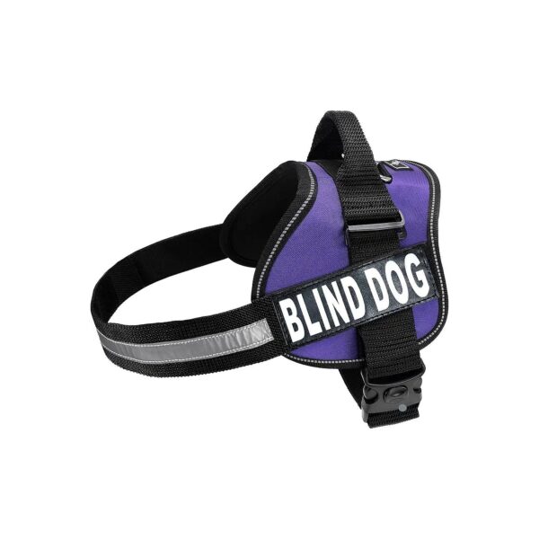 Adjustable Blind Dog Harness with Reflective Patches and Comfort Straps