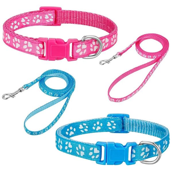 Adjustable Comfort Dog Collars and Leashes for Small and Medium Dogs