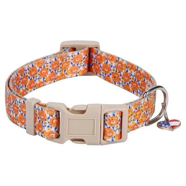 Adjustable Dog Collar for Small Medium Large Dogs with Pattern and Quick Release Buckle