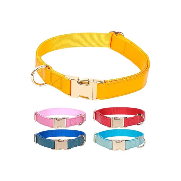 Adjustable Dog Collar with Buckle in Orange Yellow Color for Small Medium Large Dogs