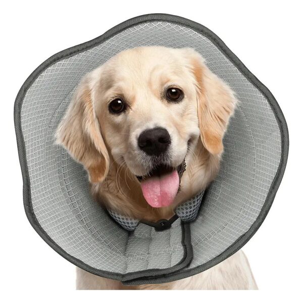 Adjustable Dog Cone for Large Dogs Post Surgical Recovery