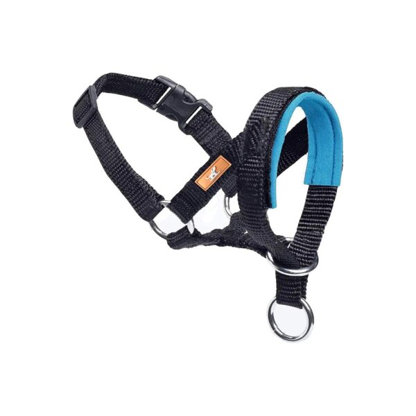 Adjustable Dog Head Collar for Walking Small Medium Large Dogs in Lake Blue