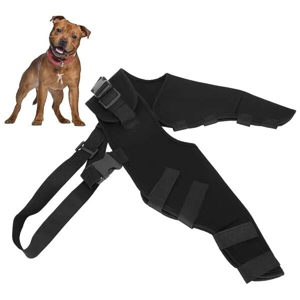 Adjustable Dog Knee Pads for Hind Leg Recovery and Stabilization