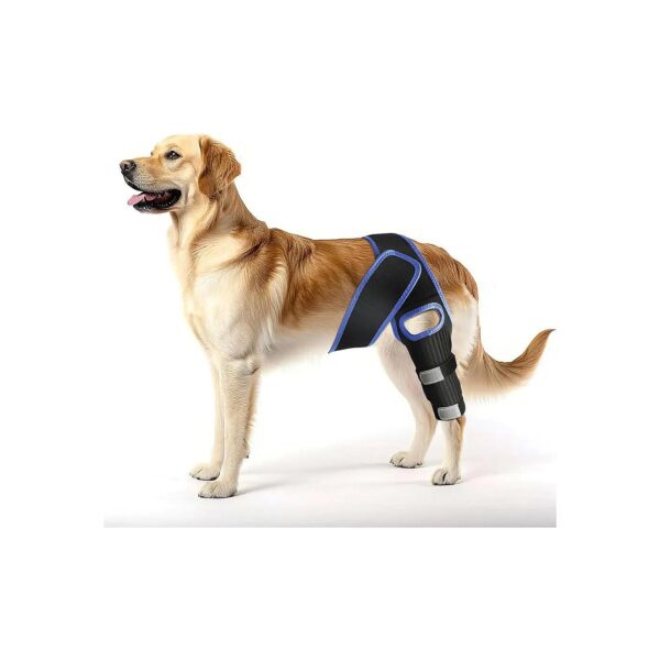 Adjustable Dog Knee Support Pads for Back Leg Joint Stability and Comfort