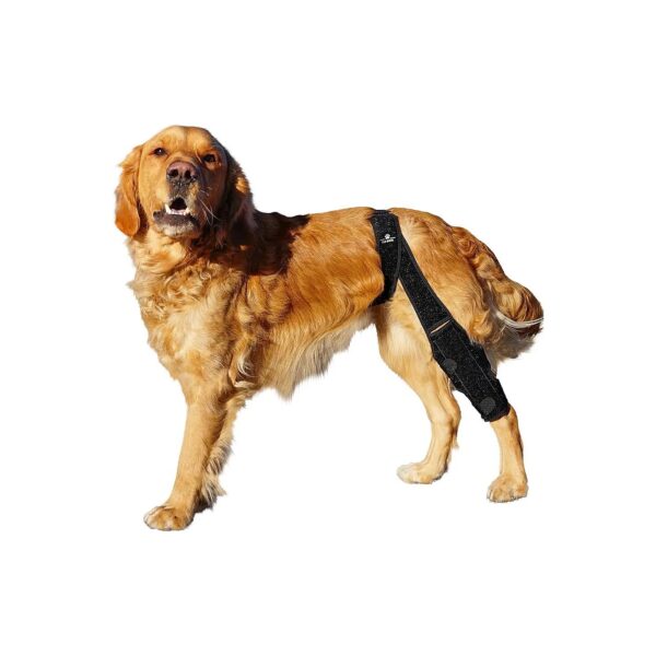 Adjustable Dog Knee and Leg Brace for Surgery Recovery and Rehabilitation