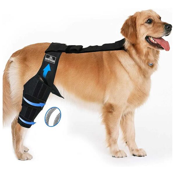 Adjustable Dog Leg Braces for Torn ACL, CCL Sprain, and Tear Ligament