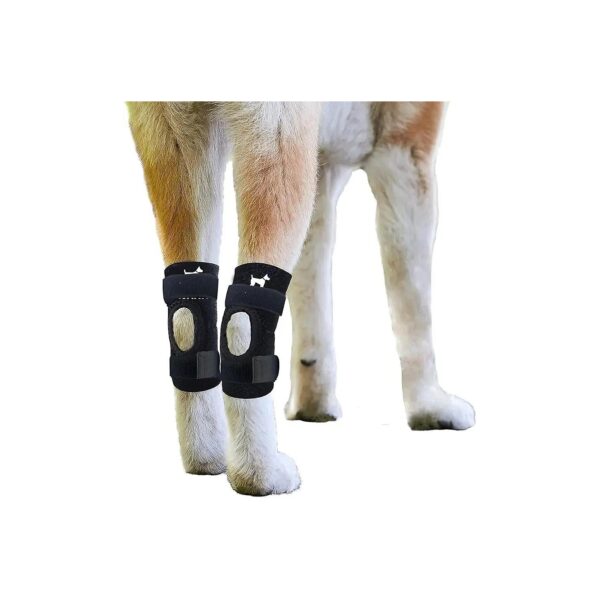 Adjustable Dog Leg Support Braces for Front and Rear Legs