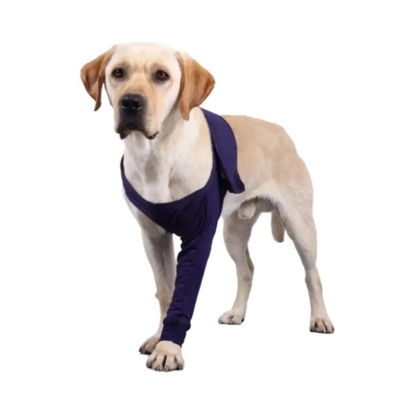 Adjustable Dog Recovery Sleeve for Abrasion Resistance and Comfortable Wear