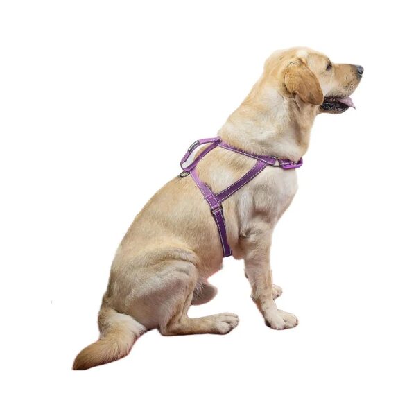 Adjustable Dog Vest with Leash Clip for Large Dogs Providing Easy Control and Training