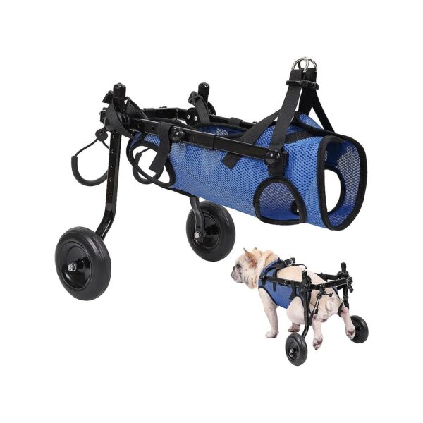 Adjustable Dog Wheelchair for Small Breeds Back Legs Mobility Support Recovery M