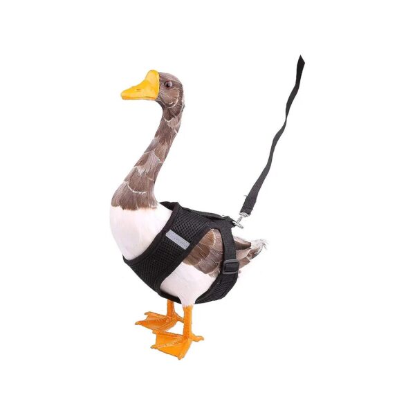 Adjustable Duck Harness and 4ft Leash for Pet Walking and Training Comfort