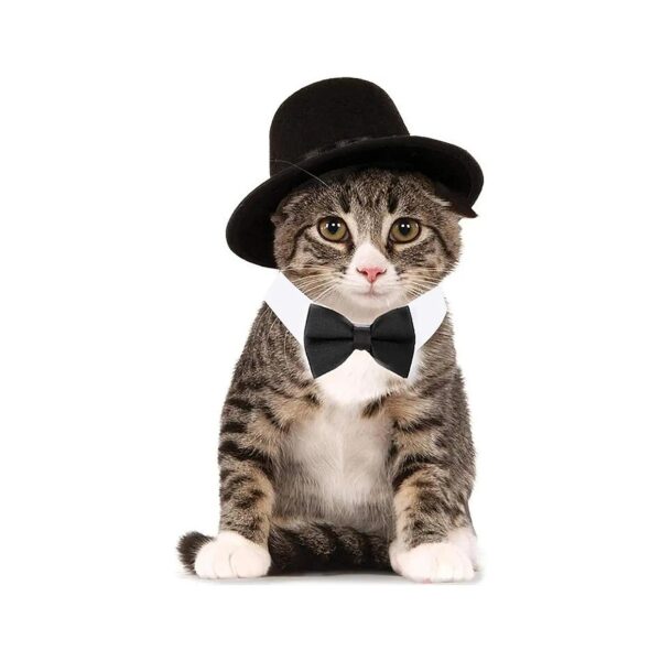 Adjustable Formal Pet Collar Neck Tie and Top Hat Set for Cats and Dogs