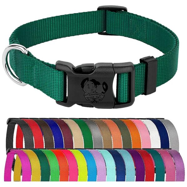 Adjustable Green Nylon Dog Collar with Buckle, Green, 1 Inch Wide, USA Made