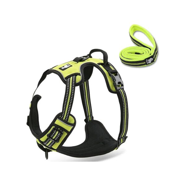 Adjustable Green Nylon Dog Harness and Leash Set with Soft Mesh Padding for Small Dogs