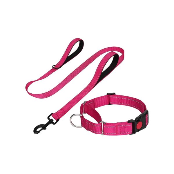 Adjustable Hotpink Martingale Dog Collar with Double Handle Leash for Medium Size Dogs