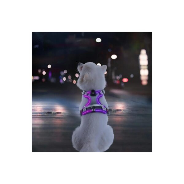 Adjustable LED Dog Harness for Small Dogs with 2 Leash Clips and Easy Control Handle