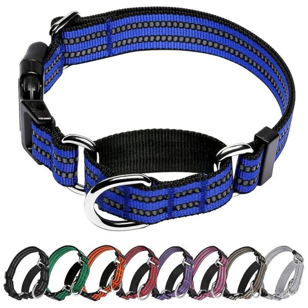 Adjustable Large Blue Nylon Martingale Dog Collar with No Slip Design and Gentle Control