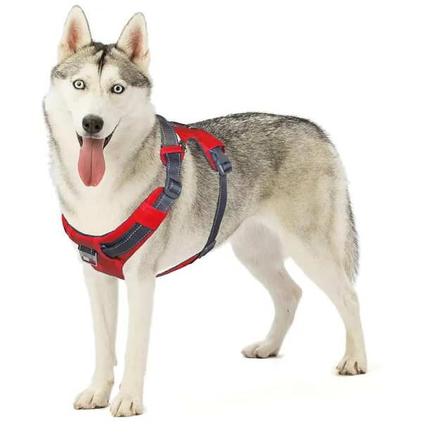 Adjustable Large Red Dog Harness for Dog Walking and Hiking