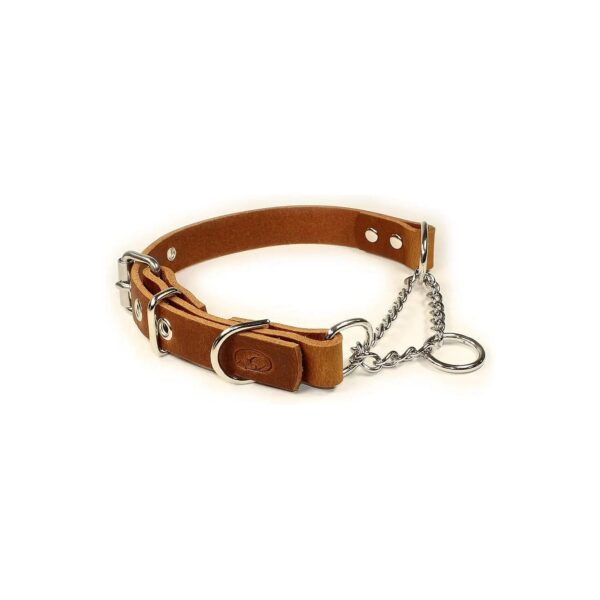 Adjustable Leather Dog Collar with Limited Slip Martingale Chain for Medium to Large Dogs