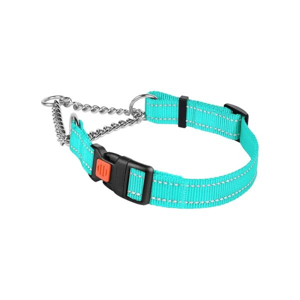 Adjustable Martingale Dog Collar with Reflective Threads and Buckle Closure for Canines