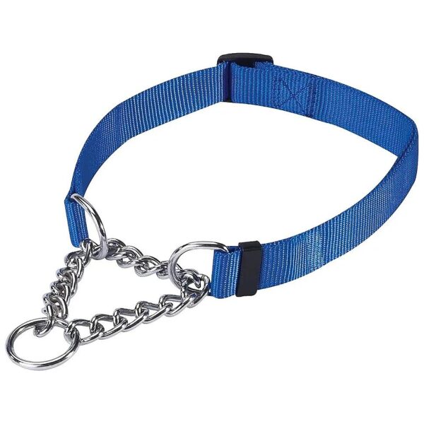 Adjustable Martingale Dog Collar with Safe Closure Design