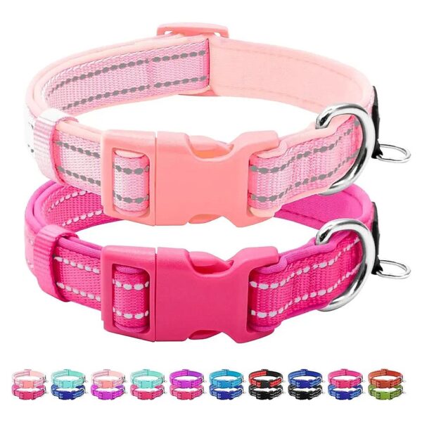 Adjustable Neoprene Padded Dog Collars for Small Dogs