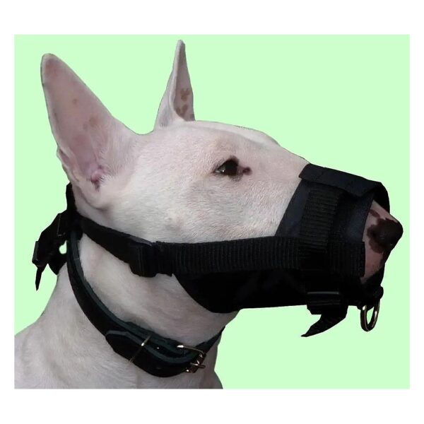 Adjustable Nylon Dog Muzzle for Medium Breeds with 5-10 Snout Circumference