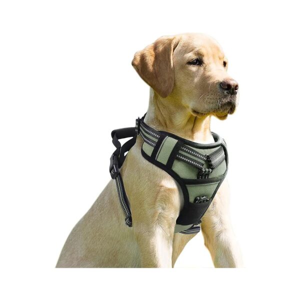 Adjustable Outdoor Dog Harness with Reflective Padded Vest for Small Medium Large Dogs