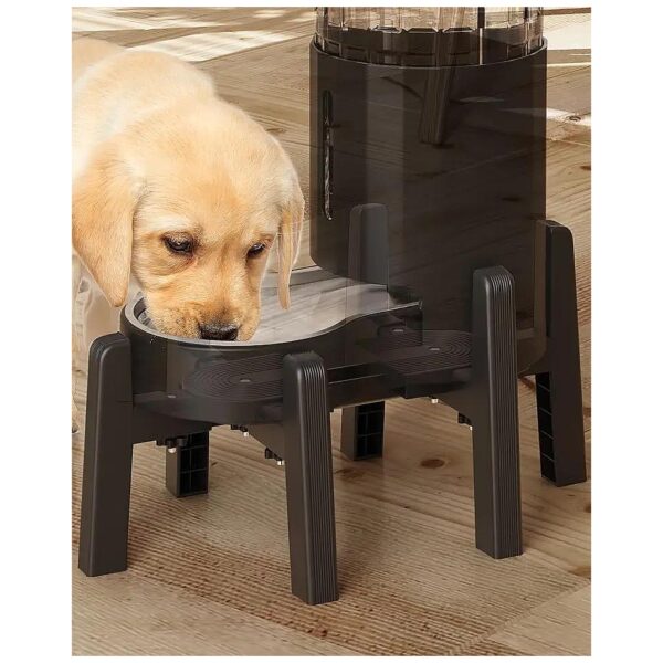 Adjustable Pet Bowl Stand for Growing Pets