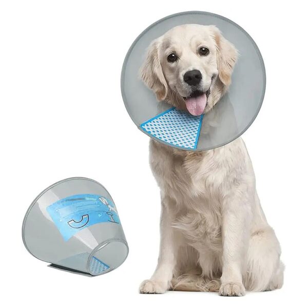 Adjustable Pet Cone Collar for Comfort and Protection after Surgery