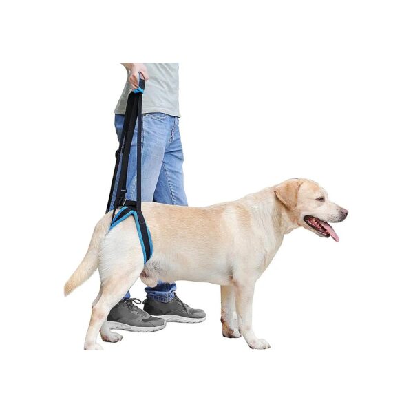 Adjustable Pet Dog Support Harness for Rehabilitation after Joint Injuries