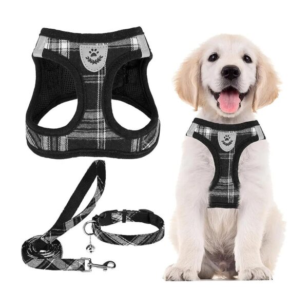 Adjustable Pet Harness and Leash Set for Small to Medium Dogs