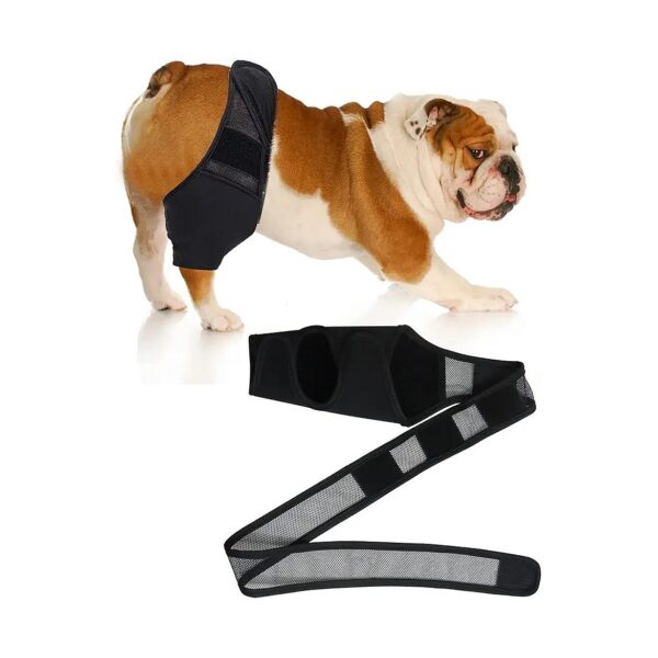 Adjustable Pet Knee Brace for ACL Injuries and Better Mobility Support