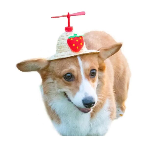 Adjustable Pet Sombrero Hat for Small Dogs Cat Woven Hat with Strawberry Charm