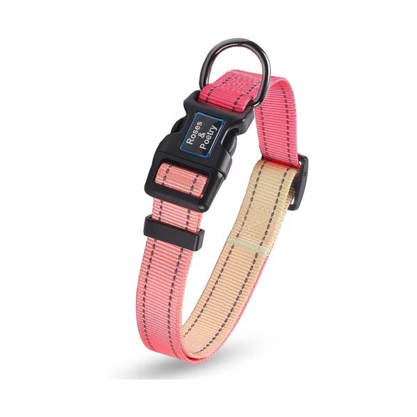 Adjustable Pink Gradient Reflective Dog Collar for Medium Dogs