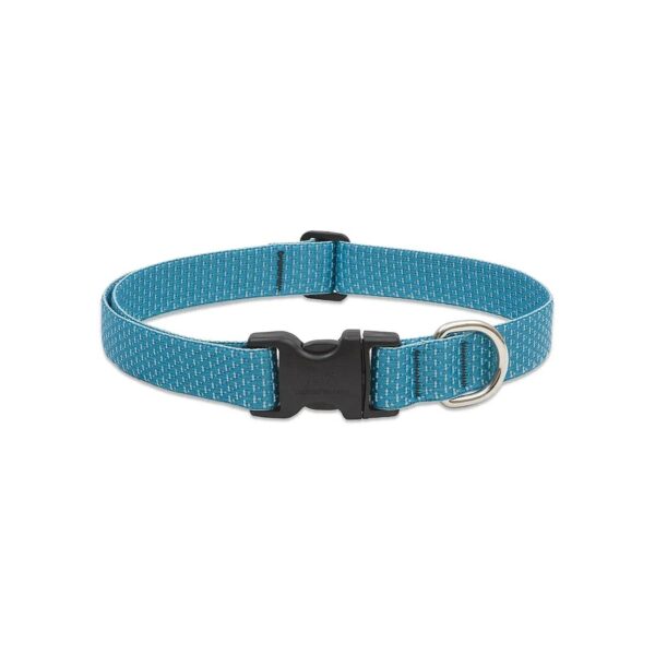 Adjustable Plastic Collar for Medium and Larger Dogs with Tropical Design