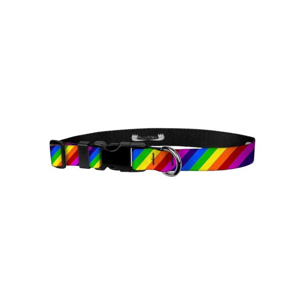 Adjustable Rainbow Stripe Dog Collar with Comfortable Fit and Durable Construction