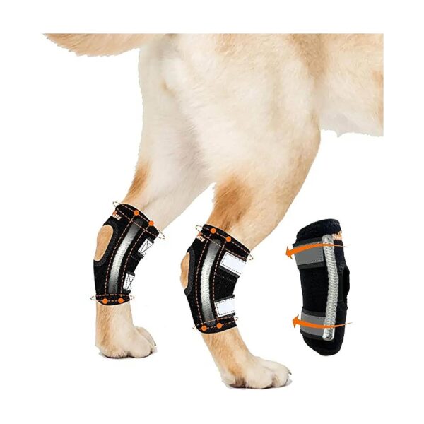 Adjustable Rear Leg Hock Braces for Smaller Breed Dogs with Soft Neoprene