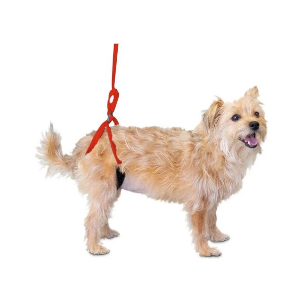 Adjustable Rear Support Harness for Smaller Dogs with Joint Problems