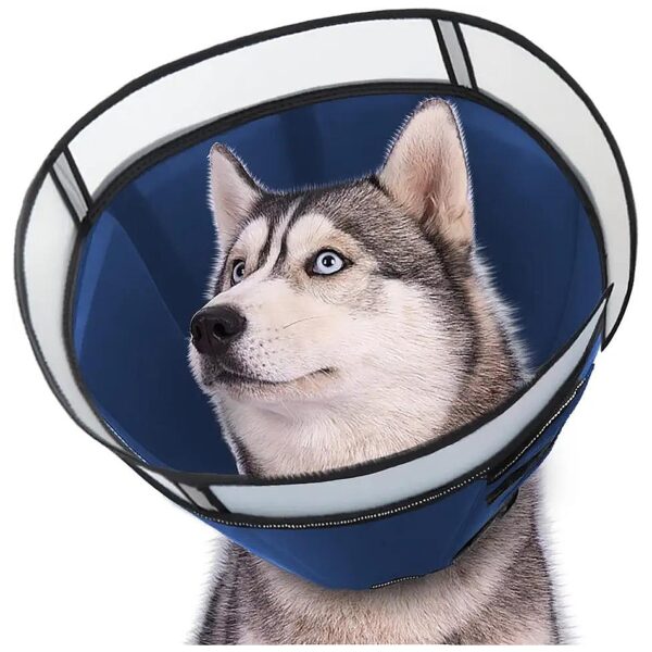 Adjustable Recovery Cone Collar for Dogs and Cats After Surgery Wound Healing Protection