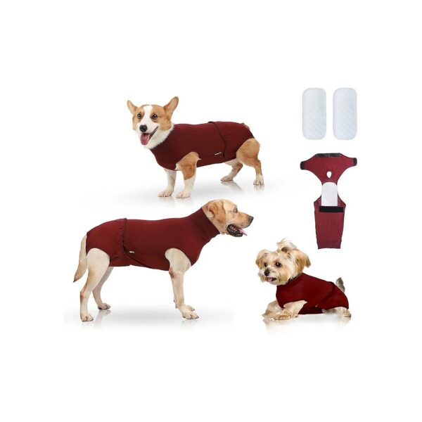 Adjustable Recovery Suit for Dogs After Neuter or Spay Surgery with Replacement Diapers