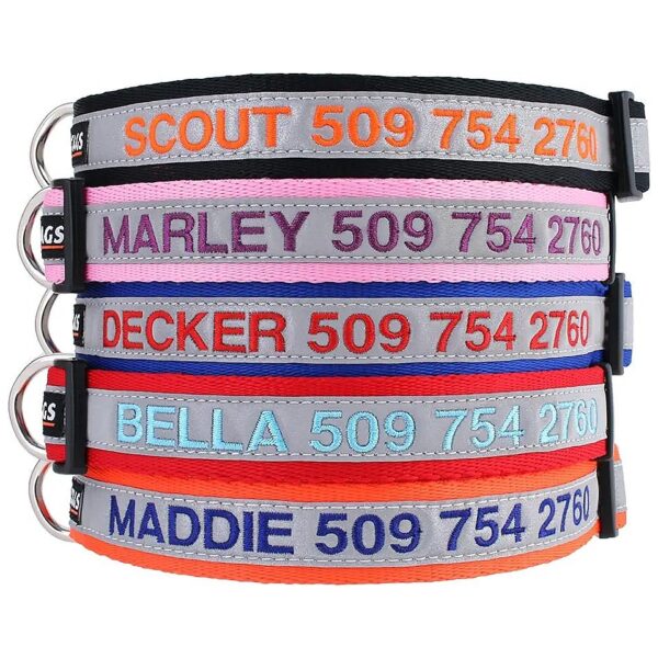 Adjustable Red Reflective Dog Collar with Custom Embroidery and Phone Number