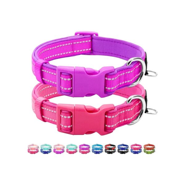 Adjustable Reflective Dog Collars with Comfy Neoprene Padding for Small Dogs